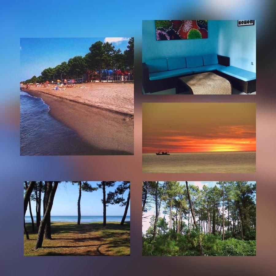 Дома для отпуска Black Sea Beach House Григолети-4