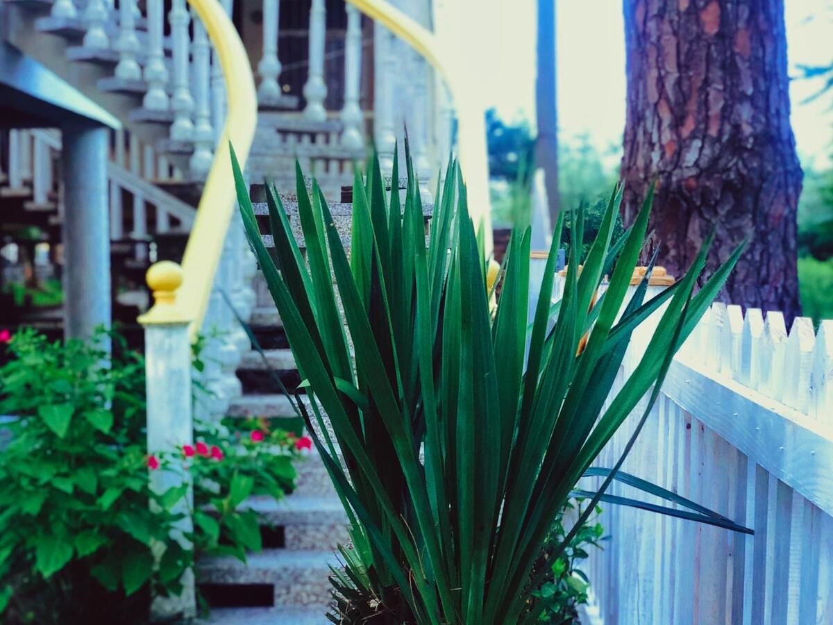 Дома для отпуска Black Sea Beach House Григолети-21