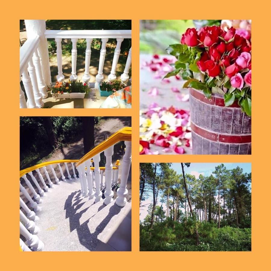 Дома для отпуска Black Sea Beach House Григолети-25
