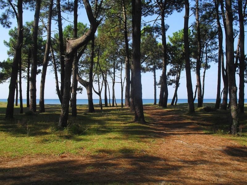 Дома для отпуска Black Sea Beach House Григолети-42