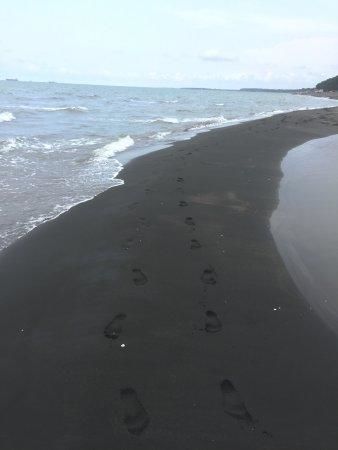 Дома для отпуска Black Sea Beach House Григолети-48
