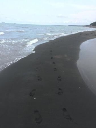 Дома для отпуска Black Sea Beach House Григолети-77