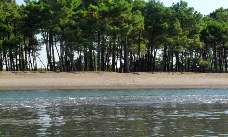 Дома для отпуска Black Sea Beach House Григолети-78