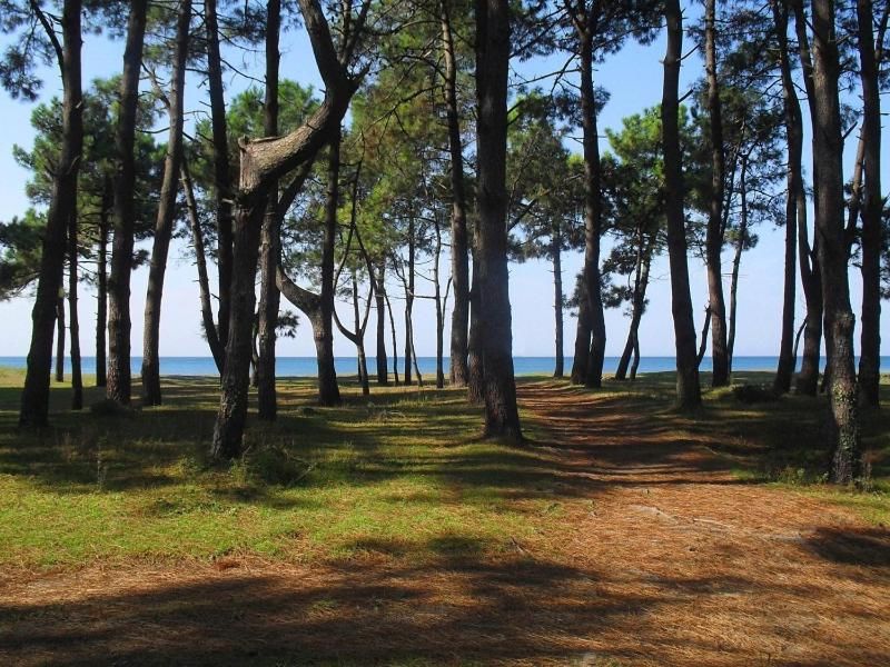 Дома для отпуска Black Sea Beach House Григолети-80